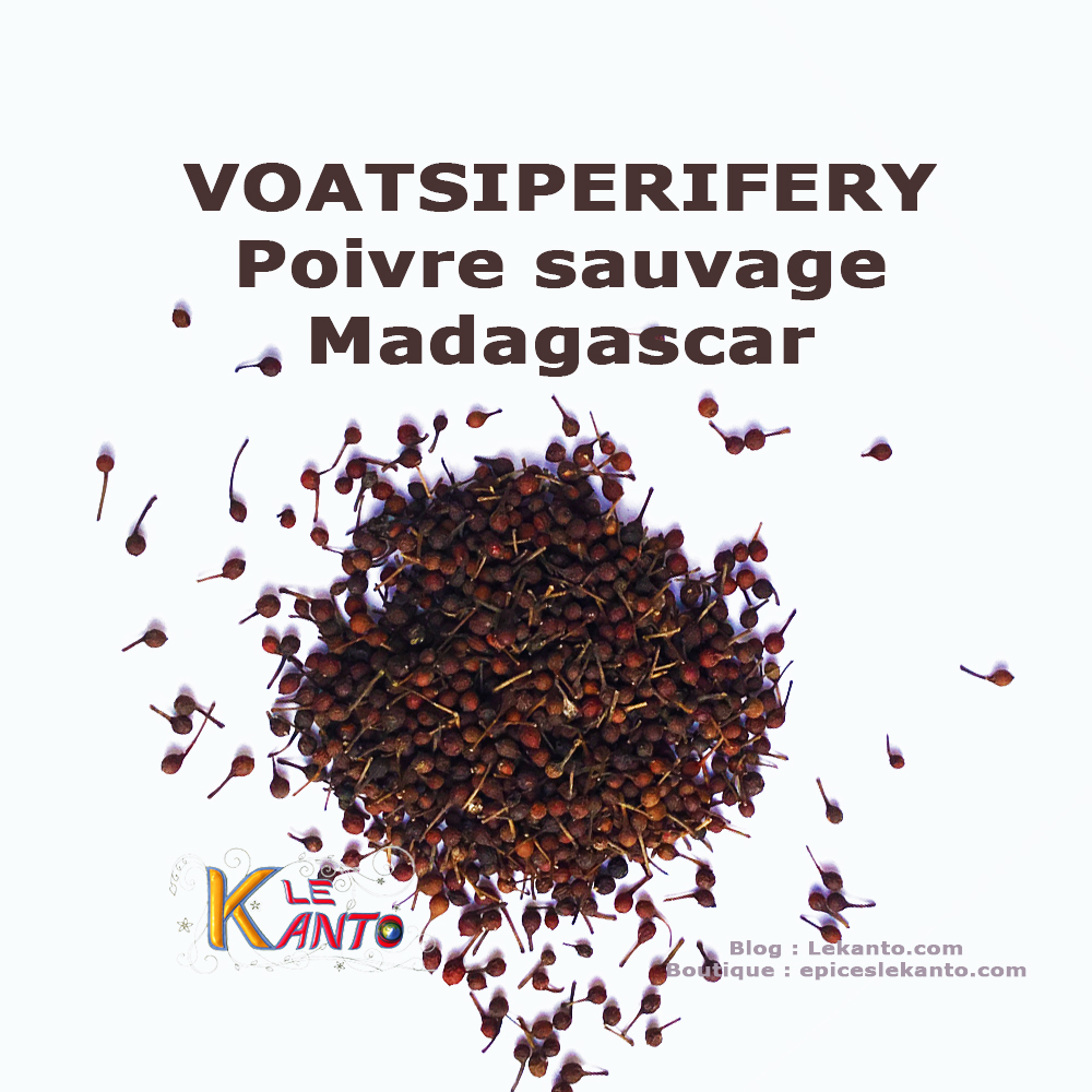 Poivre sauvage de Madagascar Voatsiperifery